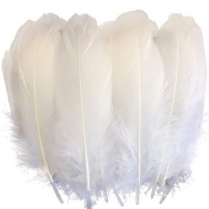 "Sowder Natural Goose Feathers" used by ASMR Glow